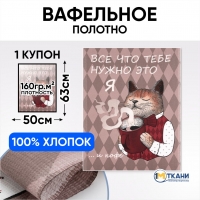 вафельное полотно 50 см 29320/1 Твой котик отрез 50х63